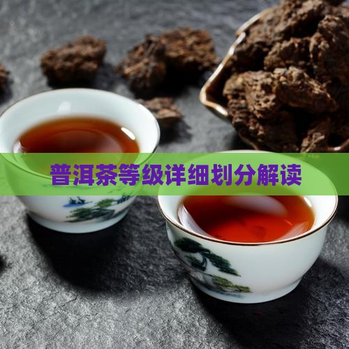 普洱茶等级有哪些