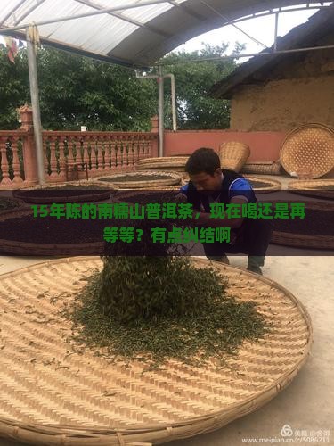 15年南糯山普洱茶