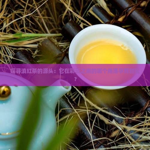 滇红茶产地哪里