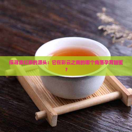 滇红茶产地哪里