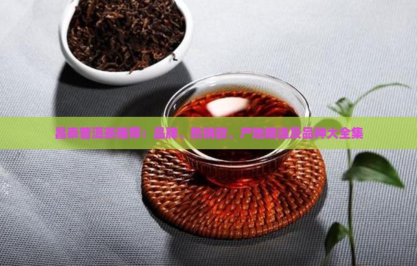 昌泰普洱茶推荐