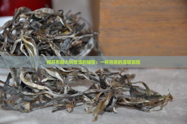 布朗大树普洱茶熟茶