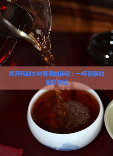 布朗大树普洱茶熟茶