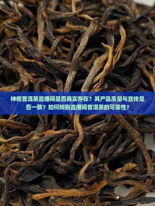 神棍普洱茶直播间是真的吗