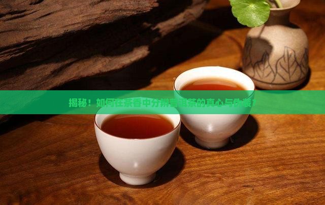精品普洱茶如何辨别真假