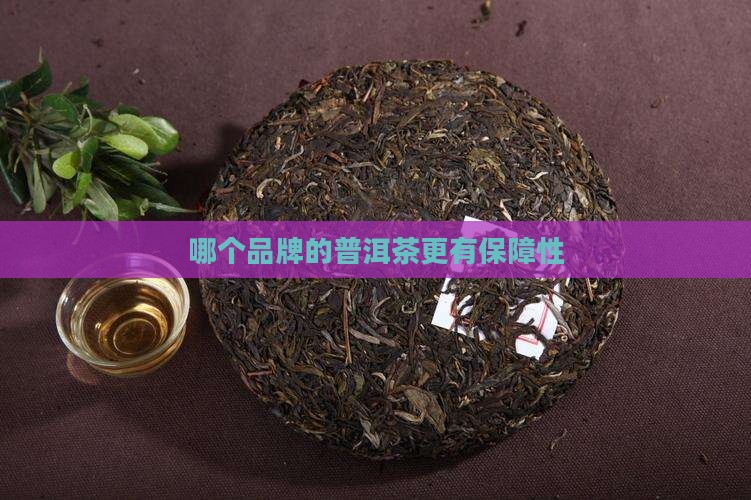 普洱茶什么品牌有保障性