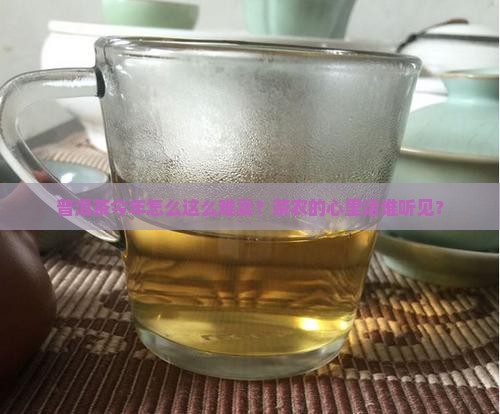 今年普洱茶卖不出去
