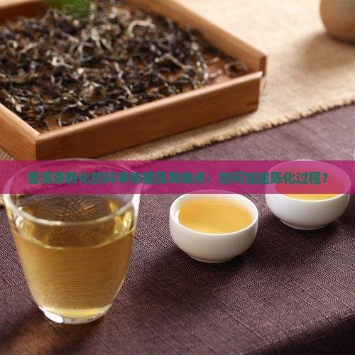 普洱茶转化的科学依据