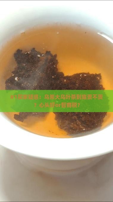 乌岽大乌叶茶价格