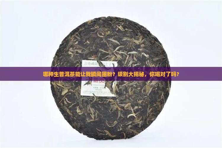 生普洱茶中等级别推荐