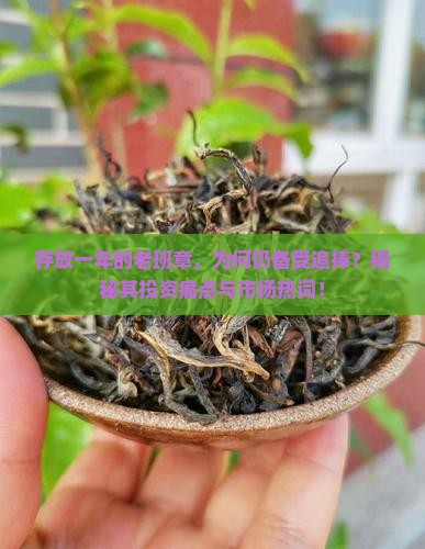 存放一年的老班章