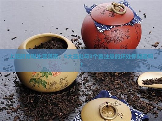 喝生普洱茶有哪些益处和坏处