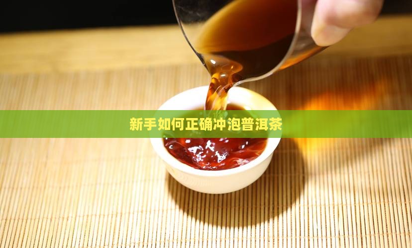 新手在家怎么泡普洱茶好