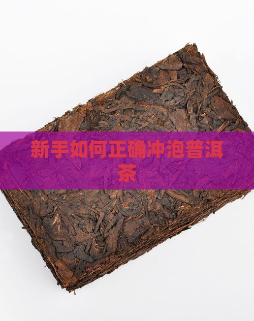 新手在家怎么泡普洱茶好