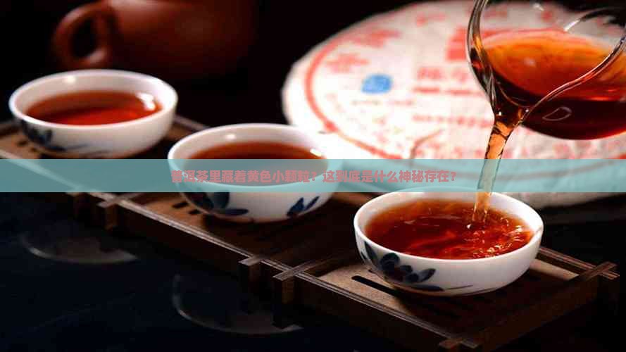 普洱茶有黄色小颗粒