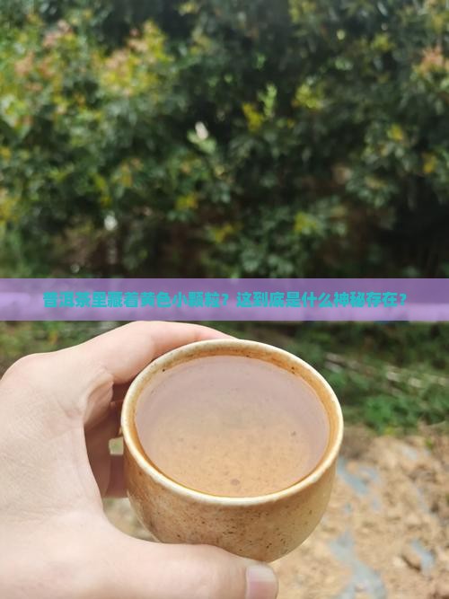 普洱茶有黄色小颗粒