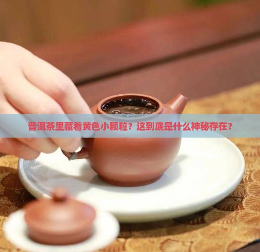 普洱茶有黄色小颗粒