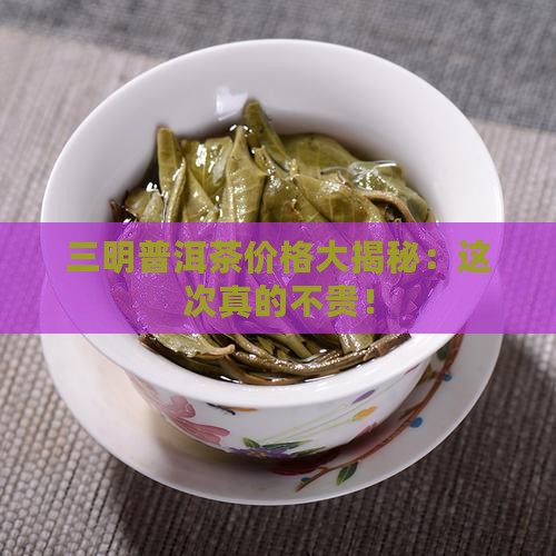 三明普洱茶报价表