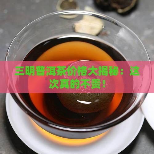 三明普洱茶报价表