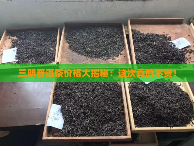 三明普洱茶报价表