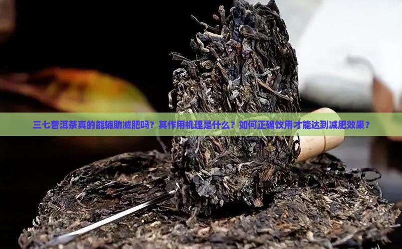 三七普洱茶能够减肥吗