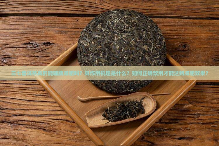 三七普洱茶能够减肥吗
