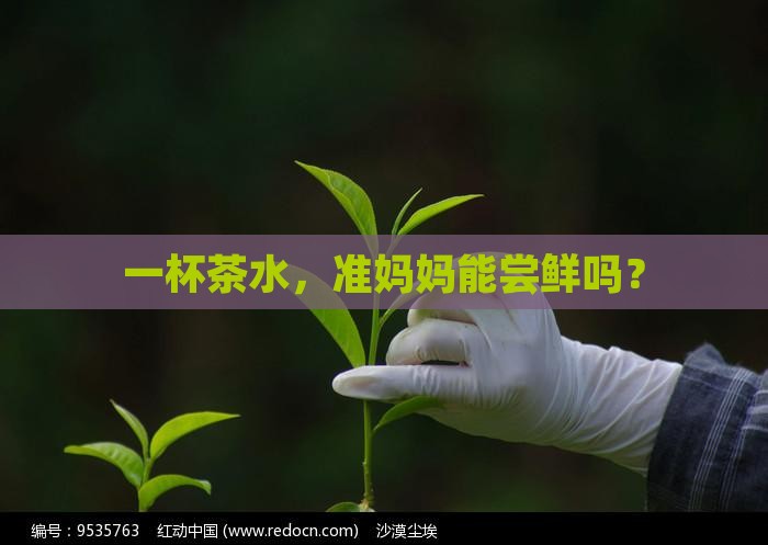 孕妇能喝点茶水吗