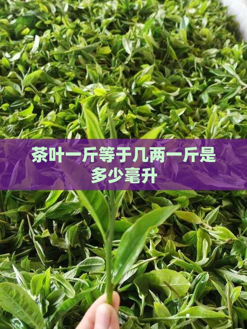 茶叶一斤等于几两