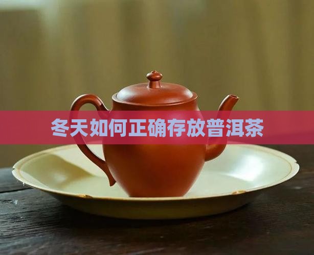 冬天如何存放普洱茶