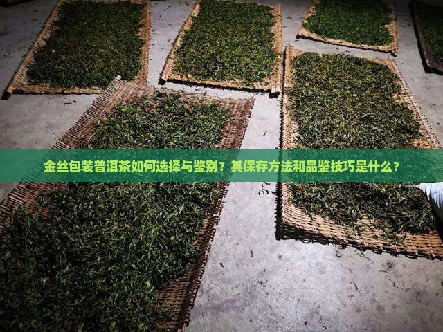 金丝包装普洱茶