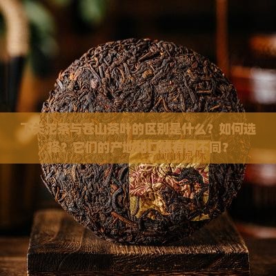 下关沱茶与苍山茶叶