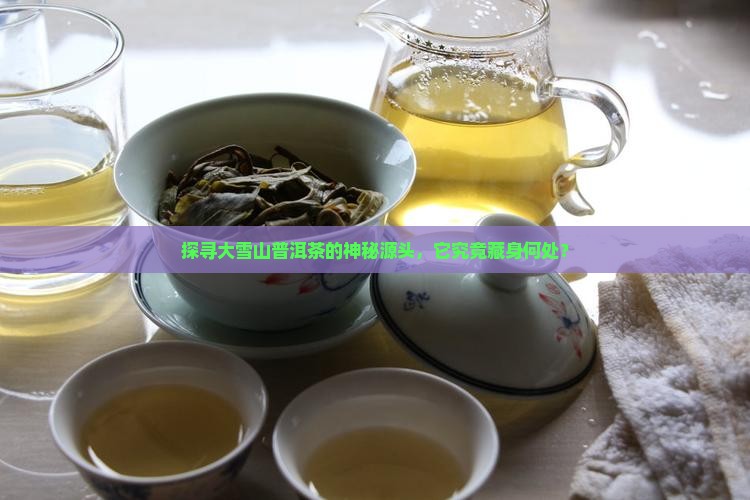 大雪山普洱茶是在哪里