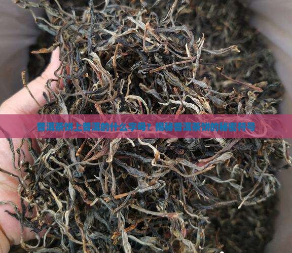 普洱茶饼上的字母