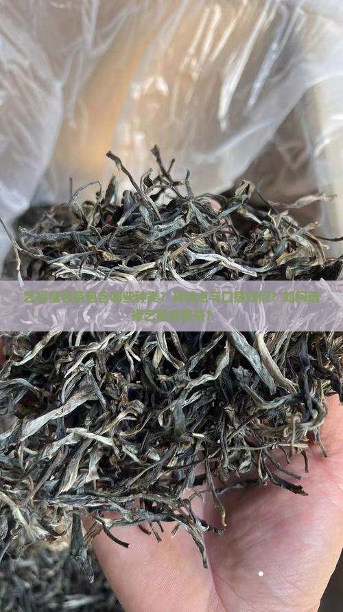 艺福堂茗茶是什么茶