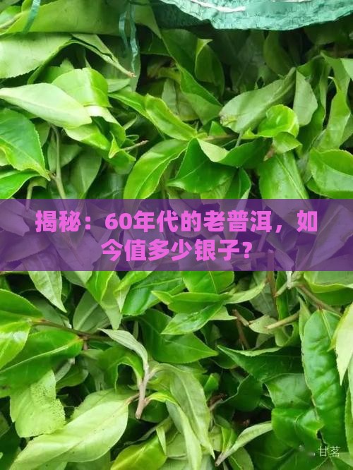 60年代普洱茶价值多少元