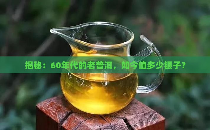 60年代普洱茶价值多少元