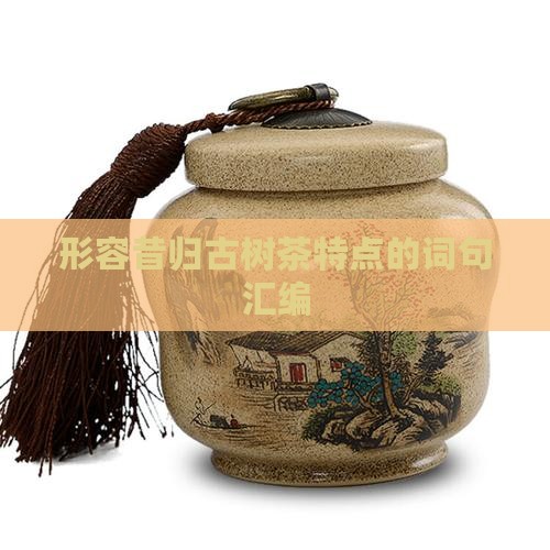 形容昔归古树茶有哪些特点