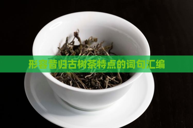 形容昔归古树茶有哪些特点