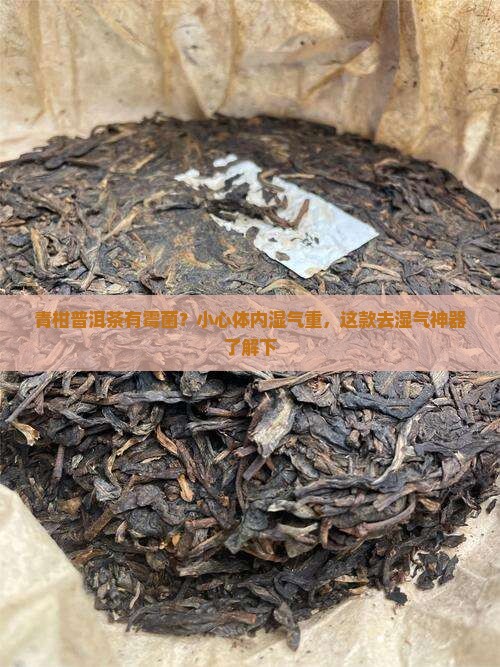 青柑普洱茶有霉菌