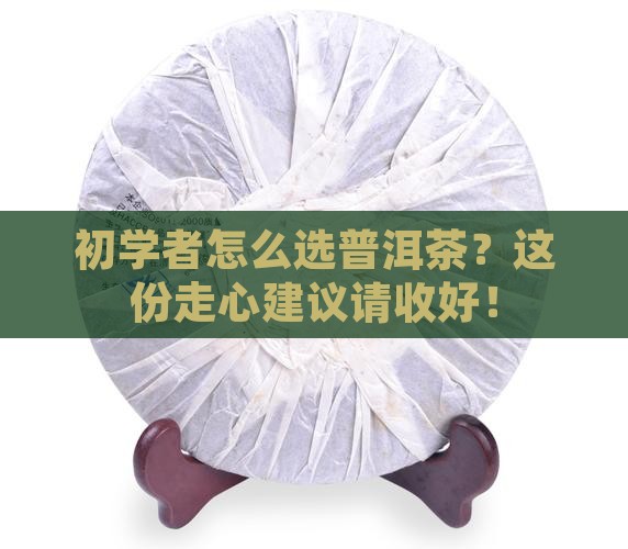 初学者普洱茶的建议