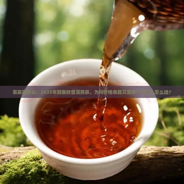 醉春秋普洱茶熟茶价格