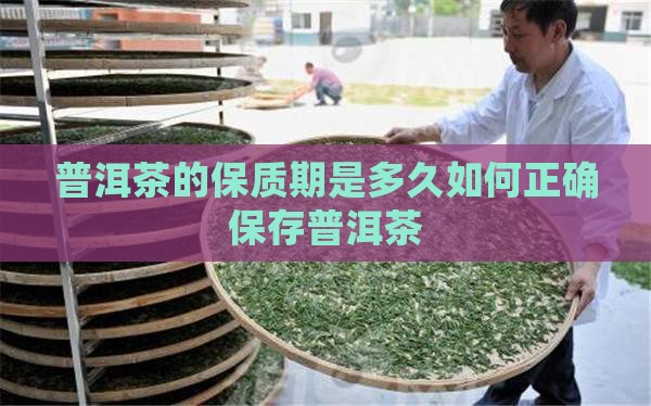 普洱茶需要怎么保存多久
