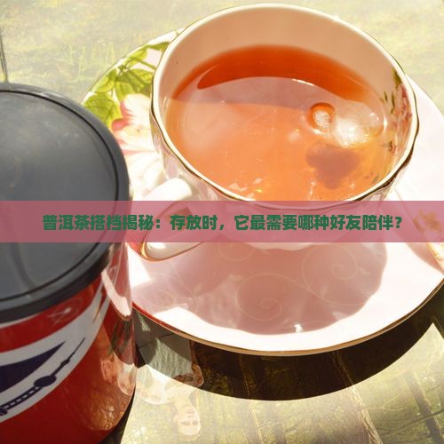 普洱茶放什么一起保存