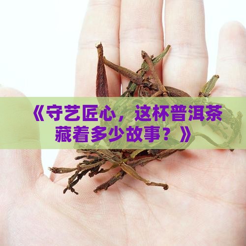 守艺匠心普洱茶