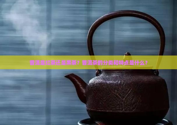 普洱是什么茶是红茶还是黑茶