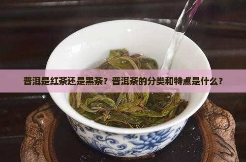 普洱是什么茶是红茶还是黑茶