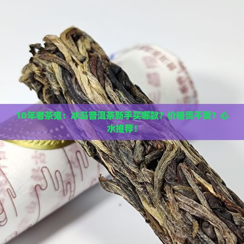 冰岛普洱茶入门推荐吗多少钱