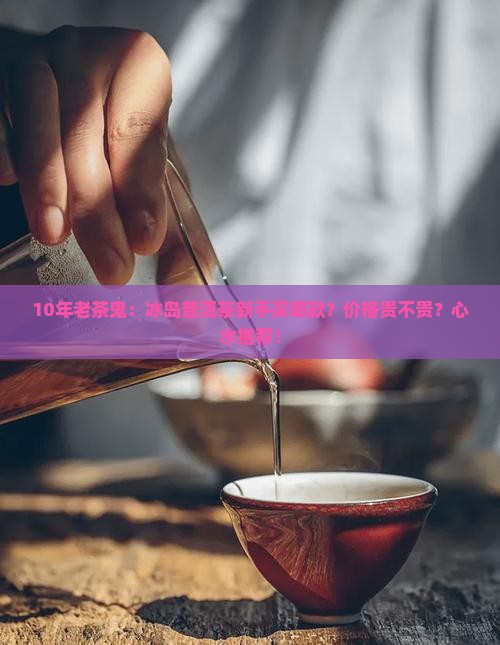 冰岛普洱茶入门推荐吗多少钱