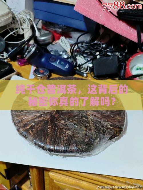 纯干仓普洱茶是真的吗