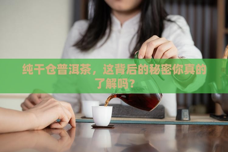 纯干仓普洱茶是真的吗